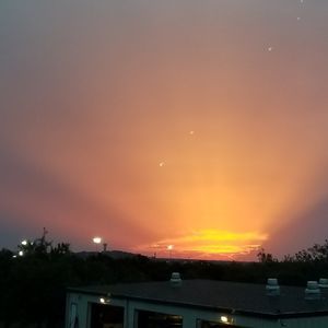 Meet your Posher, Norma